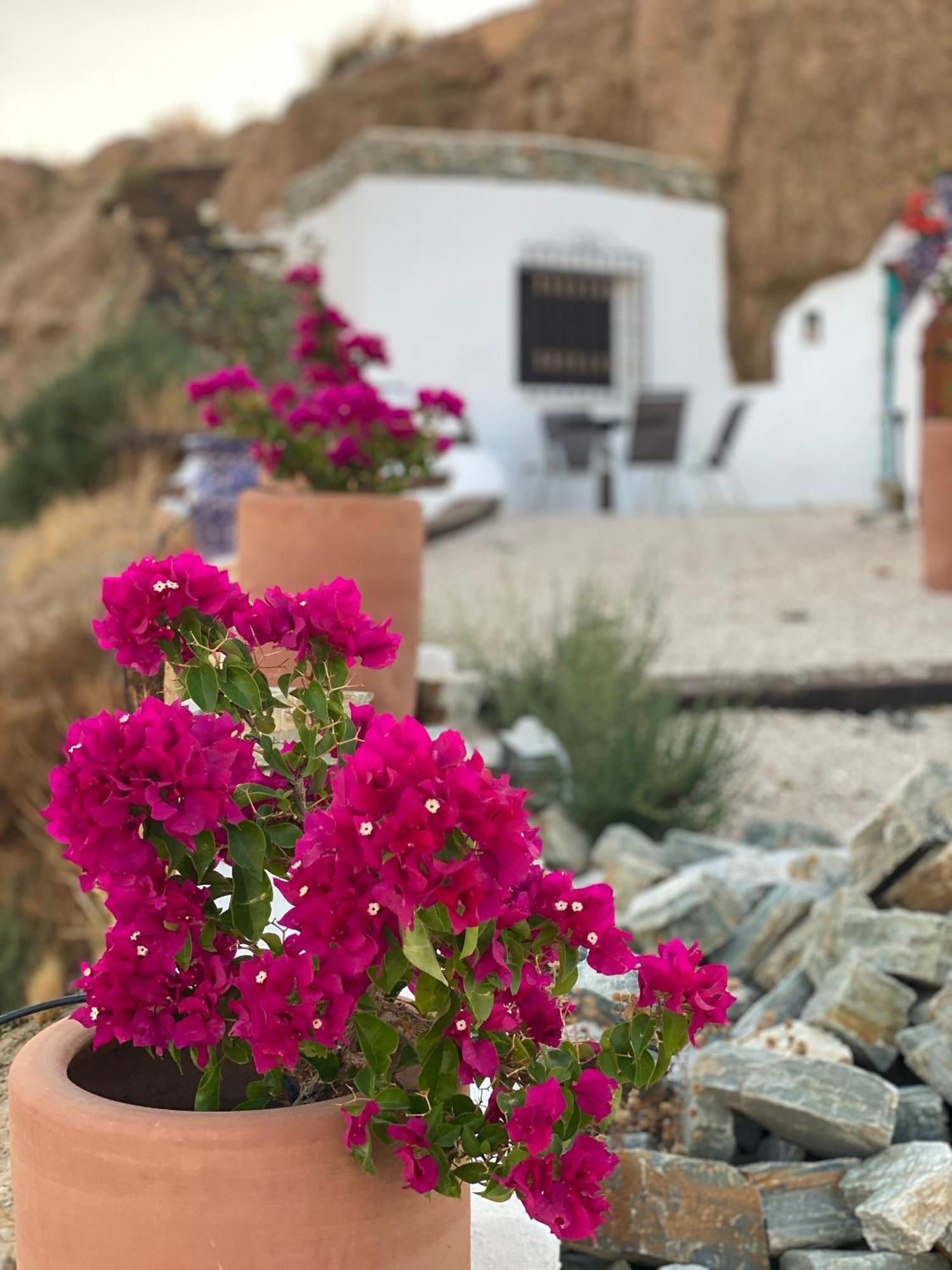 Cuevas Oro Y Arcilla Villa Guadix Exteriör bild